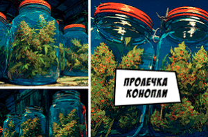 Пролечка конопли