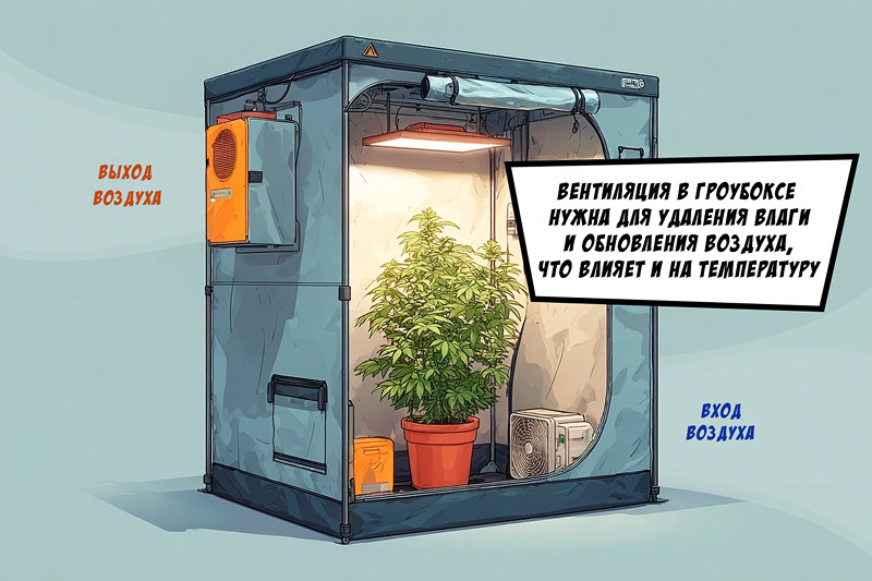 Вентиляция для конопли