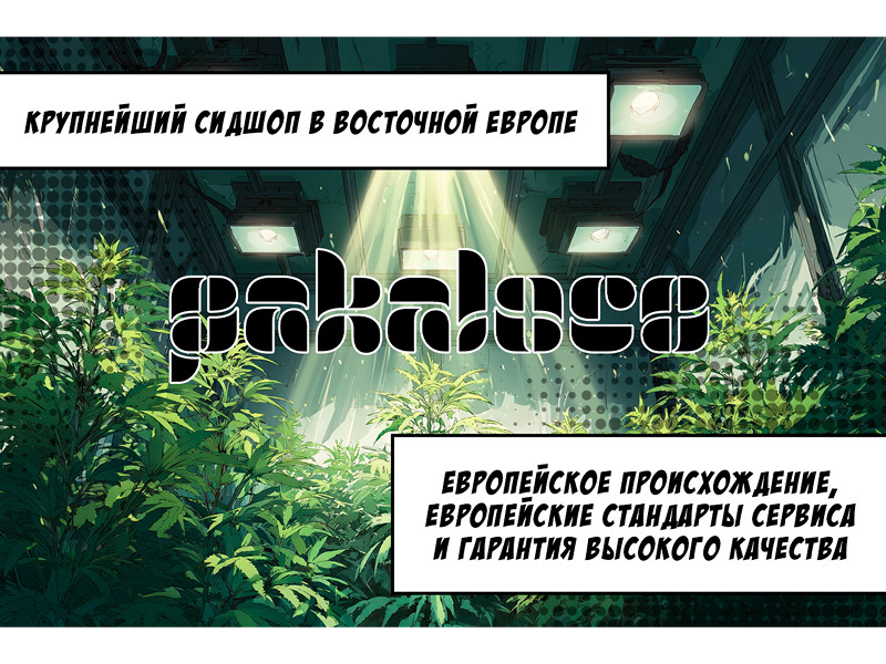 Pakaloco сидшоп